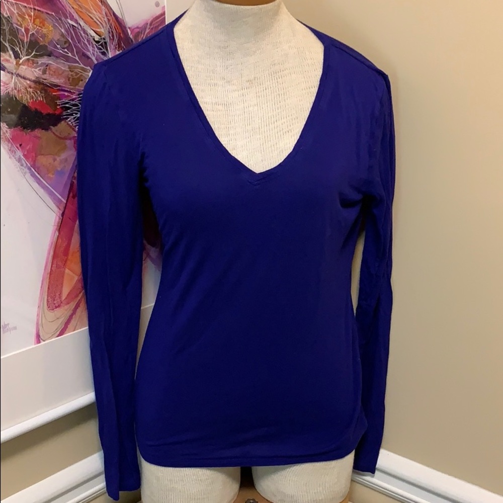 Royal blue/purple VNeck Longsleeve stretch T-shirt